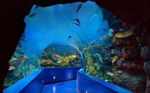 متحف الاحياء البحرية