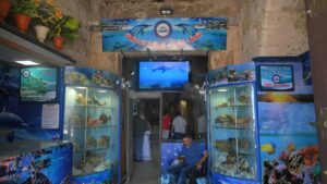 متحف الاحياء البحرية